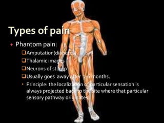  Phantom pain:
Amputation(diabetes)
Thalamic images
Neurons of stump
Usually goes away after 3-6 months.
 Principle: the localization of particular sensation is
always projected back to the site where that particular
sensory pathway originates.
 