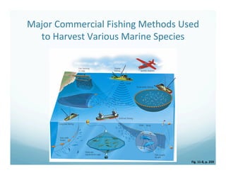 Major	
  Commercial	
  Fishing	
  Methods	
  Used	
  
to	
  Harvest	
  Various	
  Marine	
  Species	
  
Fig.	
  11-­‐8,	
  p.	
  259	
  
 