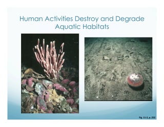Human Activities Destroy and Degrade
Aquatic Habitats
Fig.	
  11-­‐2,	
  p.	
  252	
  
 
