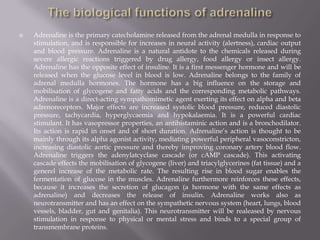 The biological functions of adrenalineAdrenaline is the primary catecholamine released from the adrenal medulla in response to stimulation, and is responsible for increases in neural activity (alertness), cardiac output and blood pressure. Adrenaline is a natural antidote to the chemicals released during severe allergic reactions triggered by drug allergy, food allergy or insect allergy. Adrenaline has the opposite effect of insuline. It is a first messenger hormone and will be released when the glucose level in blood is low. Adrenaline belongs to the family of adrenal medulla hormones. The hormone has a big influence on the storage and mobilisation of glycogene and fatty acids and the corresponding metabolic pathways. Adrenaline is a direct-acting sympathomimetic agent exerting its effect on alpha and beta adrenoreceptors. Major effects are increased systolic blood pressure, reduced diastolic pressure, tachycardia, hyperglycaemia and hypokalaemia. It is a powerful cardiac stimulant. It has vasopressor properties, an antihistaminic action and is a bronchodilator. Its action is rapid in onset and of short duration. Adrenaline’s action is thought to be mainly through its alpha agonist activity, mediating powerful peripheral vasoconstricton, increasing diastolic aortic pressure and thereby improving coronary artery blood flow. Adrenaline triggers the adenylatcyclase cascade (or cAMP cascade). This activating cascade effects the mobilisation of glycogene (liver) and triacylglycerines (fat tissue) and a generel increase of the metabolic rate. The resulting rise in blood sugar enables the fermentation of glucose in the muscles. Adrenaline furthermore reinforces these effects, because it increases the secretion of glucagon (a hormone with the same effects as adrenaline) and decreases the release of insulin. Adrenaline works also as neurotransmitter and has an effect on the sympathetic nervous system (heart, lungs, blood vessels, bladder, gut and genitalia). This neurotransmitter will be realeased by nervous stimulation in response to physical or mental stress and binds to a special group of transmembrane proteins.