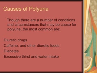 Causes of Polyuria Though there are a number of conditions and circumstances that may be cause for polyuria, the most common are: Diuretic drugs Caffeine, and other diuretic foods Diabetes Excessive thirst and water intake 