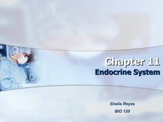 Chapter 11 Endocrine System Sheila Reyes BIO 120 