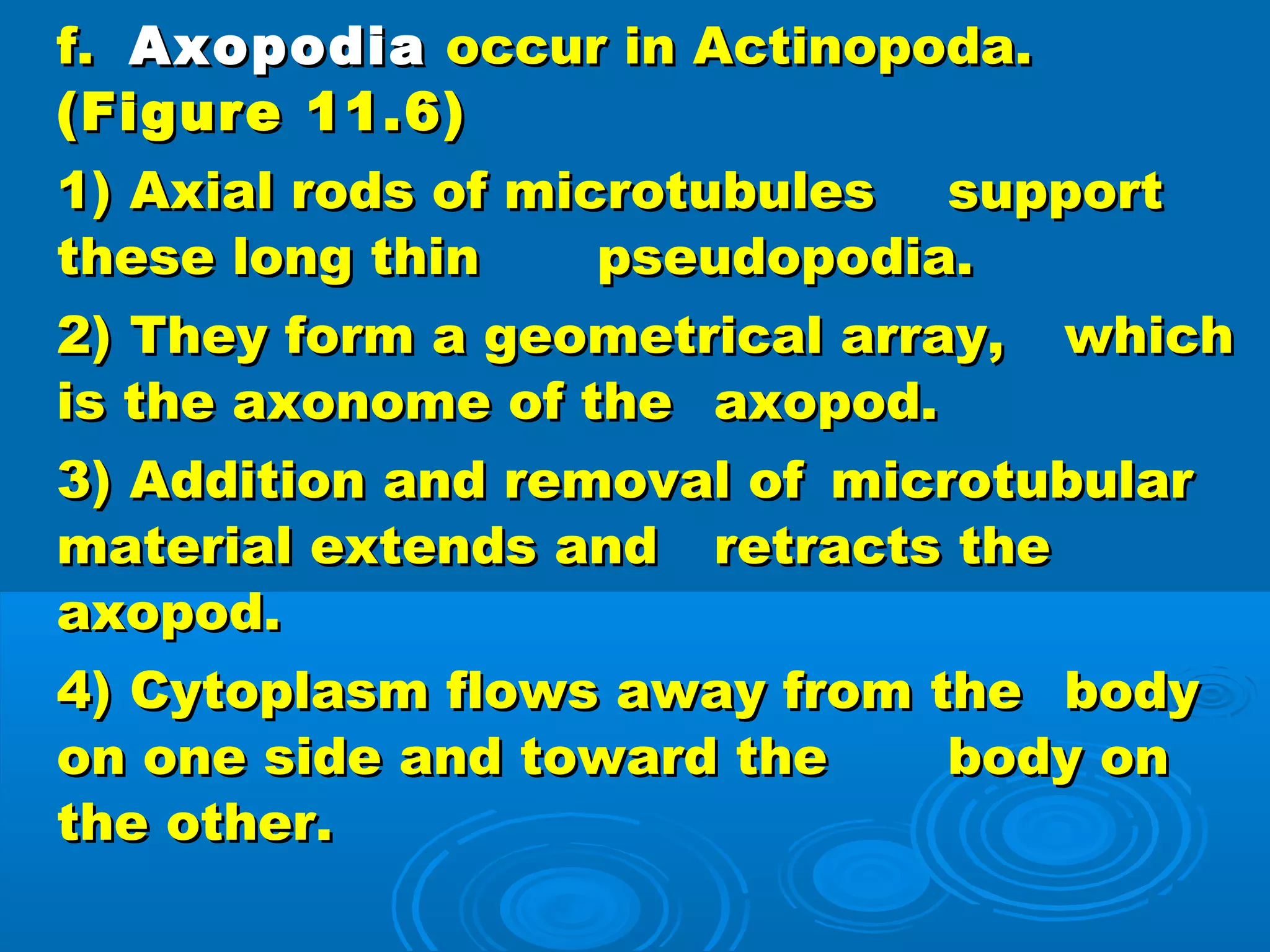 Chapter 11 protozoa | PPT