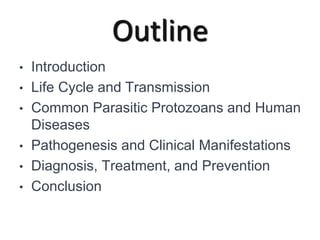 Protozoa and Human Diseases.ppt
