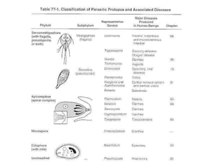 Protozoa and Human Diseases.ppt