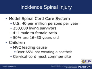Copyright © 2016 by Pearson Education, Inc.
All Rights Reserved
Incidence Spinal Injury
• Model Spinal Cord Care System
– U.S. 40 per million persons per year
– 250,000 living survivors
– 4:1 male to female ratio
– 50% are 16–30 years old
• Children
– MVC leading cause
 Over 65% not wearing a seatbelt
– Cervical cord most common site
 