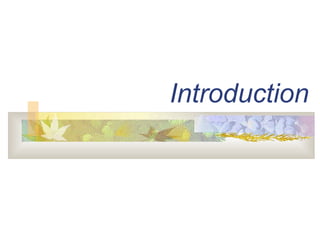 Introduction 