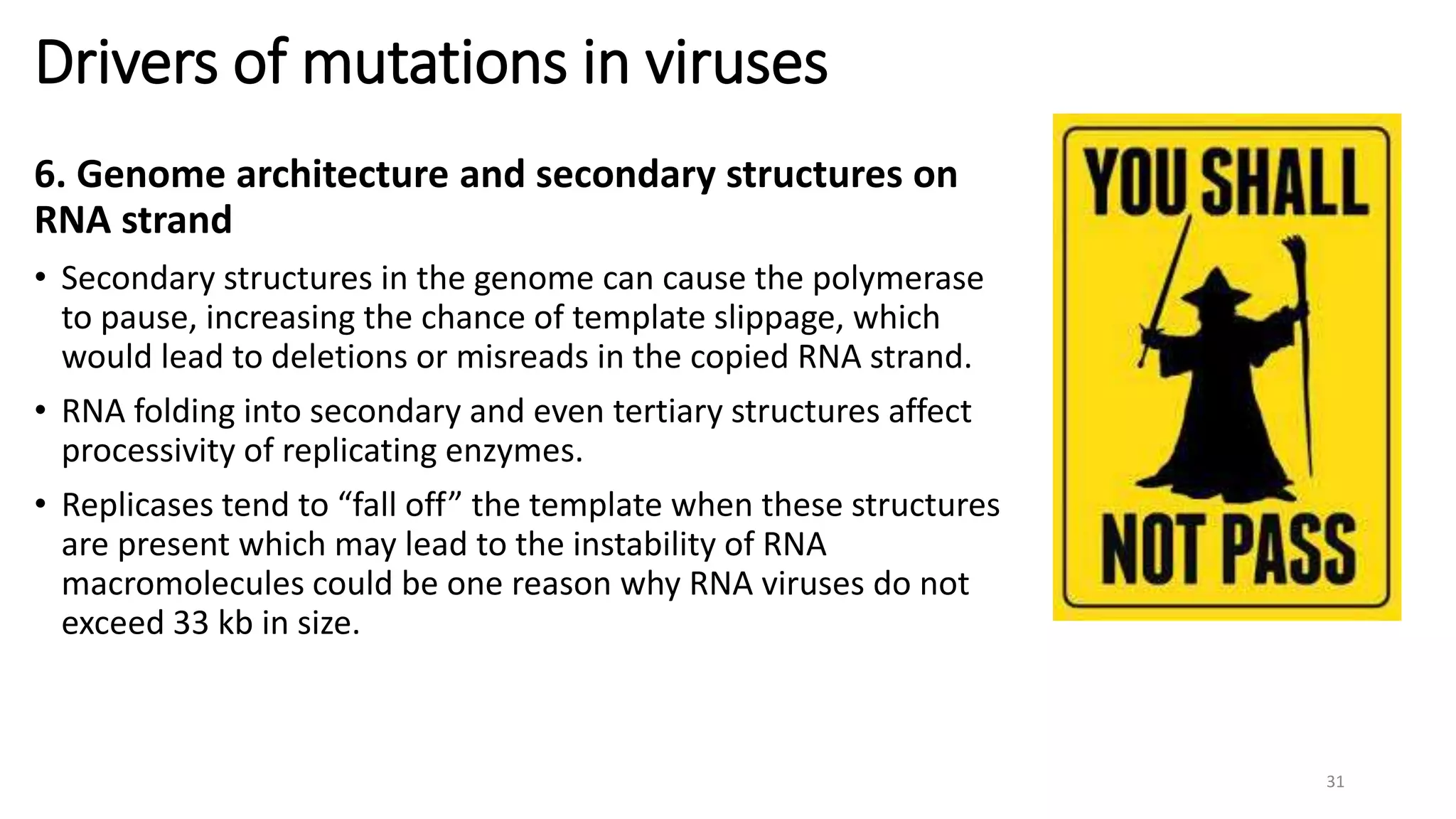 Chapter 11 Virus genetics and mutation.pptx