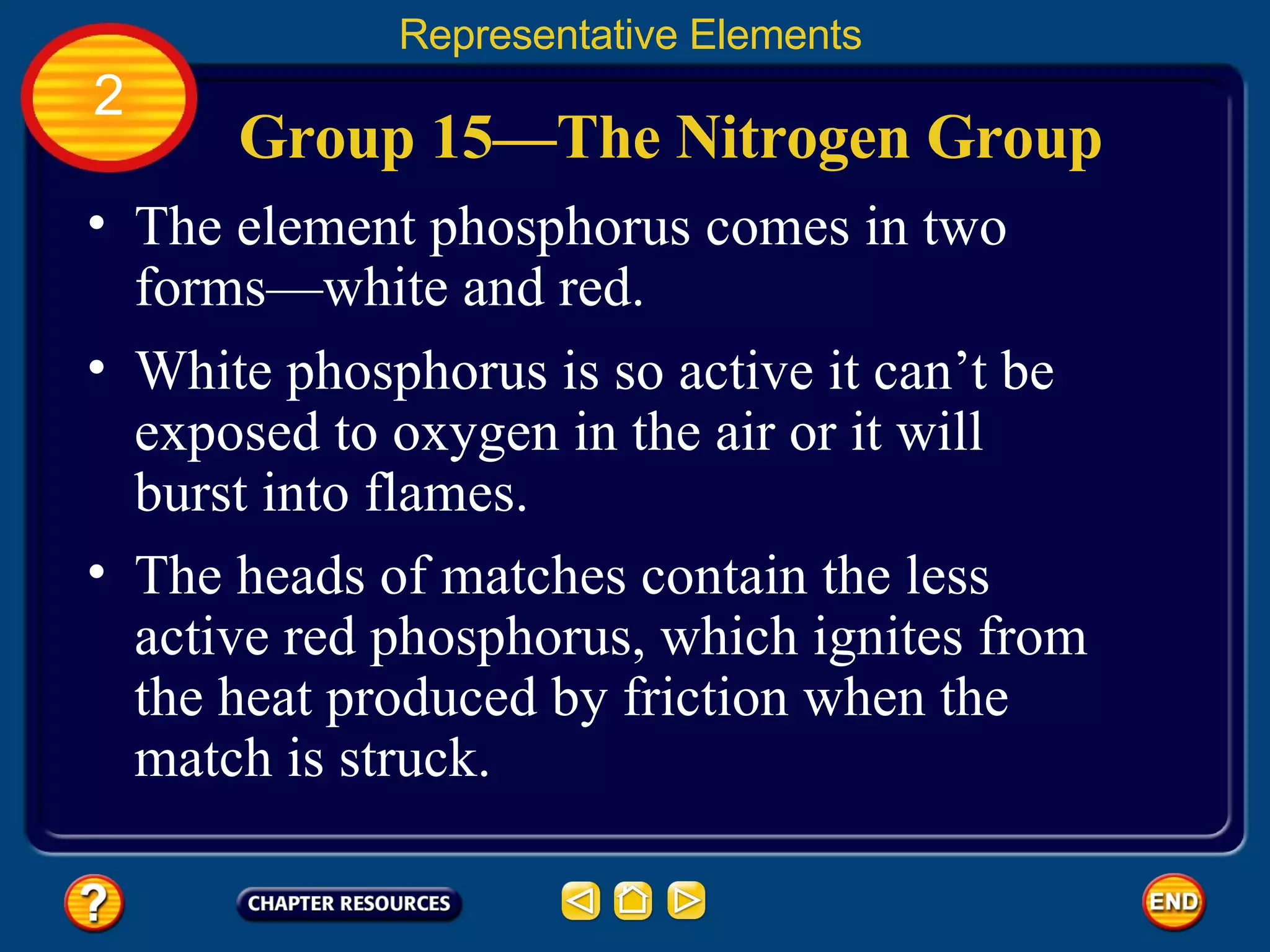 Group 15—The Nitrogen Group The element phosphorus comes in two forms—white and red. Representative Elements 2 White phosphorus is so active it can’t be exposed to oxygen in the air or it will burst into flames.  The heads of matches contain the less active red phosphorus, which ignites from the heat produced by friction when the match is struck.  