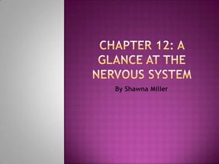 Chapter 12: a glance at the nervous system By Shawna Miller 