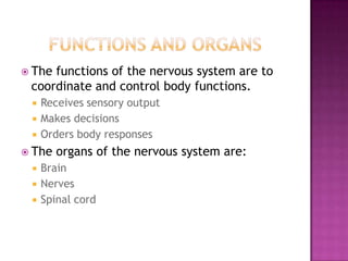 Functions and organsThe functions of the nervous system are to coordinate and control body functions.Receives sensory outputMakes decisionsOrders body responsesThe organs of the nervous system are:BrainNervesSpinal cord