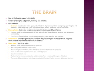 The BrainOne of the largest organs in the body.Center for thought, judgement, memory, and emotion.Four sections:Cerebrum- largest section in the upper part of the brain. It processes problem solving, language, thoughts, and memory. It has an outer layer called the cerebral cortex which is made up of folds of grey matter.Diencephalon- below the cerebrum contains the thalmus and hypothalmusThalmus- center for relaying impulses for eyes, ears, and skin to the cerebrum. What our pain perception is controlled by.Hypothalmus- below thalmus, controls body temperature, sleep appetite,  and emotions.Cerebellum- second largest section, beneath the posterior part of the cerebrum. Helps to maintain body movements and maintain balance.Brain stem : has three partsMid brain- acts as pathway between brain and spinal cordPons- connects the cerebellum to rest of brainMedulla oblongata- most inferior portion of the brain; it connects the brain to the spinal cordA vital are that controls respiration, heart rate, and blood pressureSite where nerve tracts crossThe brain has four interconnected cavities called ventricles. There is one in each hemisphere of the brainThey contain CSF(cerebral spinal fluid) that protects the brain from shock/sudden movement to brain and spinal cord