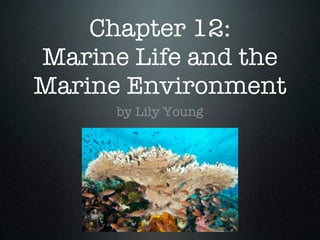 Chapter 12:
Marine Life and the
Marine Environment
      by Lily Young
 