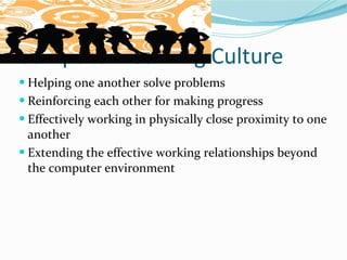 Computer Learning Culture Helping one another solve problems Reinforcing each other for making progress Effectively working in physically close proximity to one another Extending the effective working relationships beyond the computer environment 