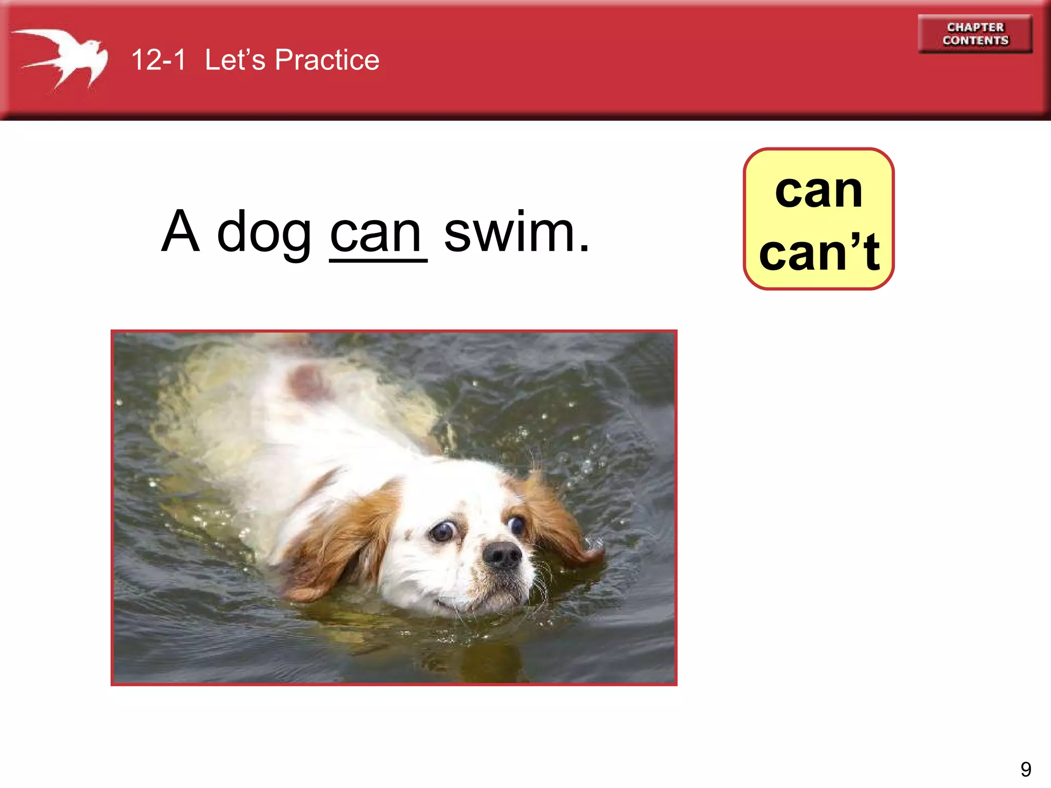 A dog ___ swim. can 12-1  Let’s Practice can can’t 