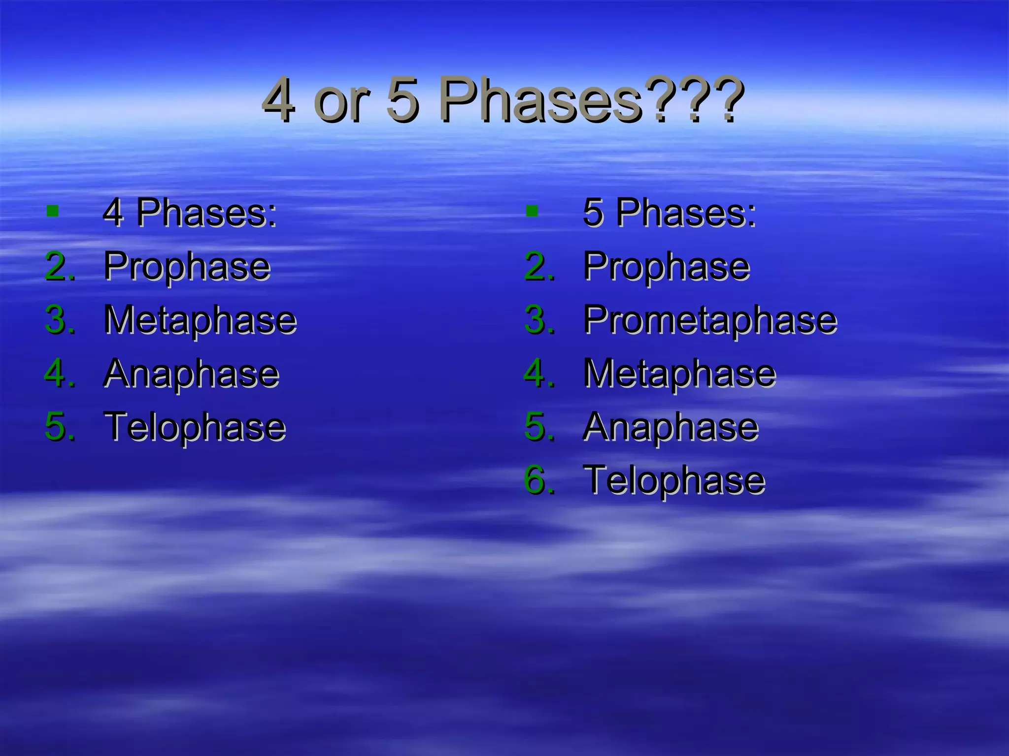 4 or 5 Phases??? 4 Phases: Prophase Metaphase Anaphase Telophase 5 Phases: Prophase Prometaphase Metaphase Anaphase Telophase 