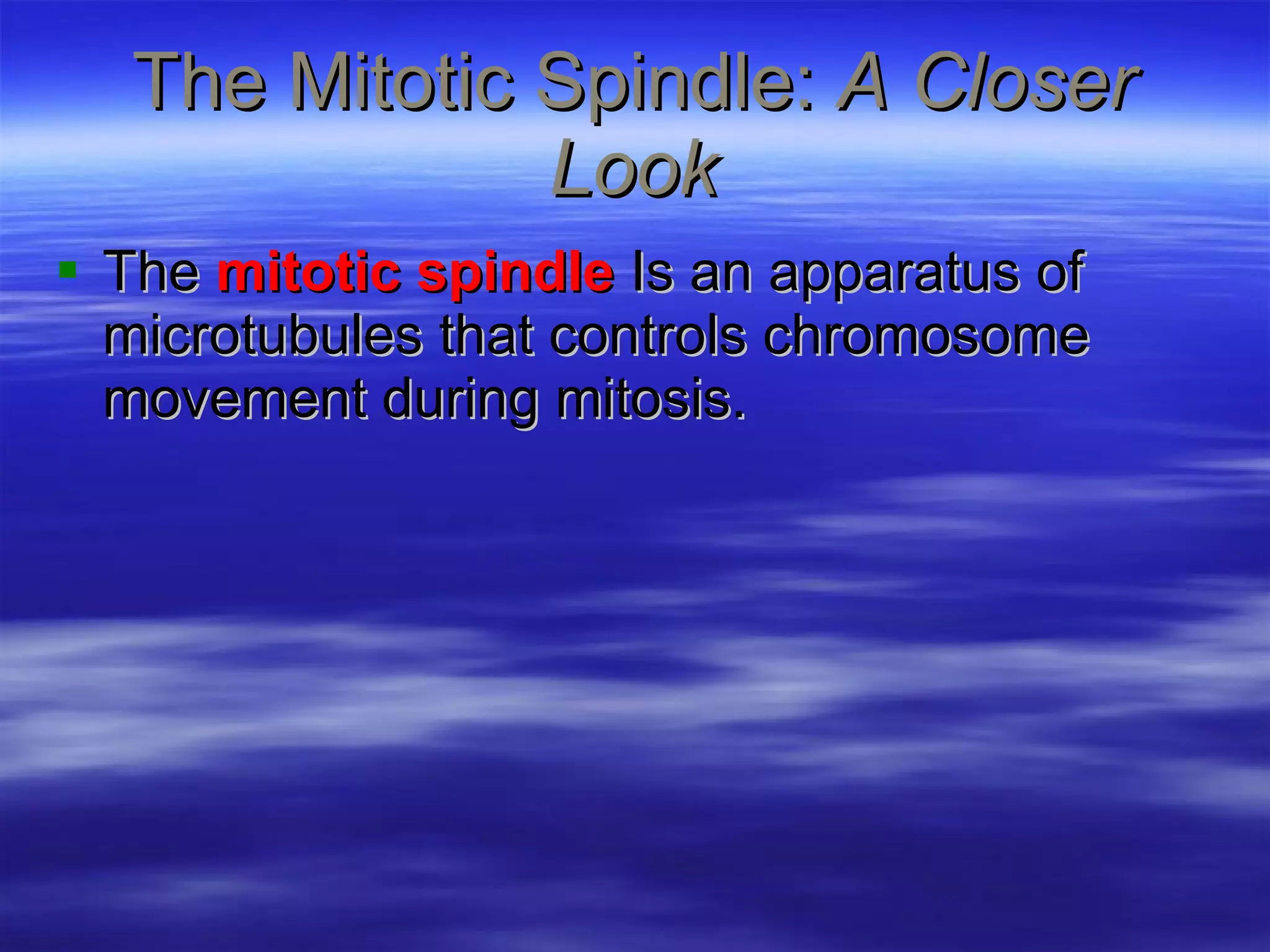 The Mitotic Spindle:  A Closer Look The  mitotic spindle  Is an apparatus of microtubules that controls chromosome movement during mitosis. 