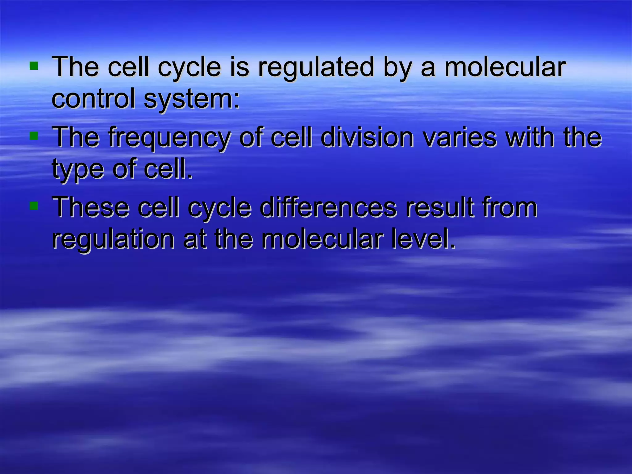 The cell cycle is regulated by a molecular control system: The frequency of cell division varies with the type of cell. These cell cycle differences result from regulation at the molecular level. 