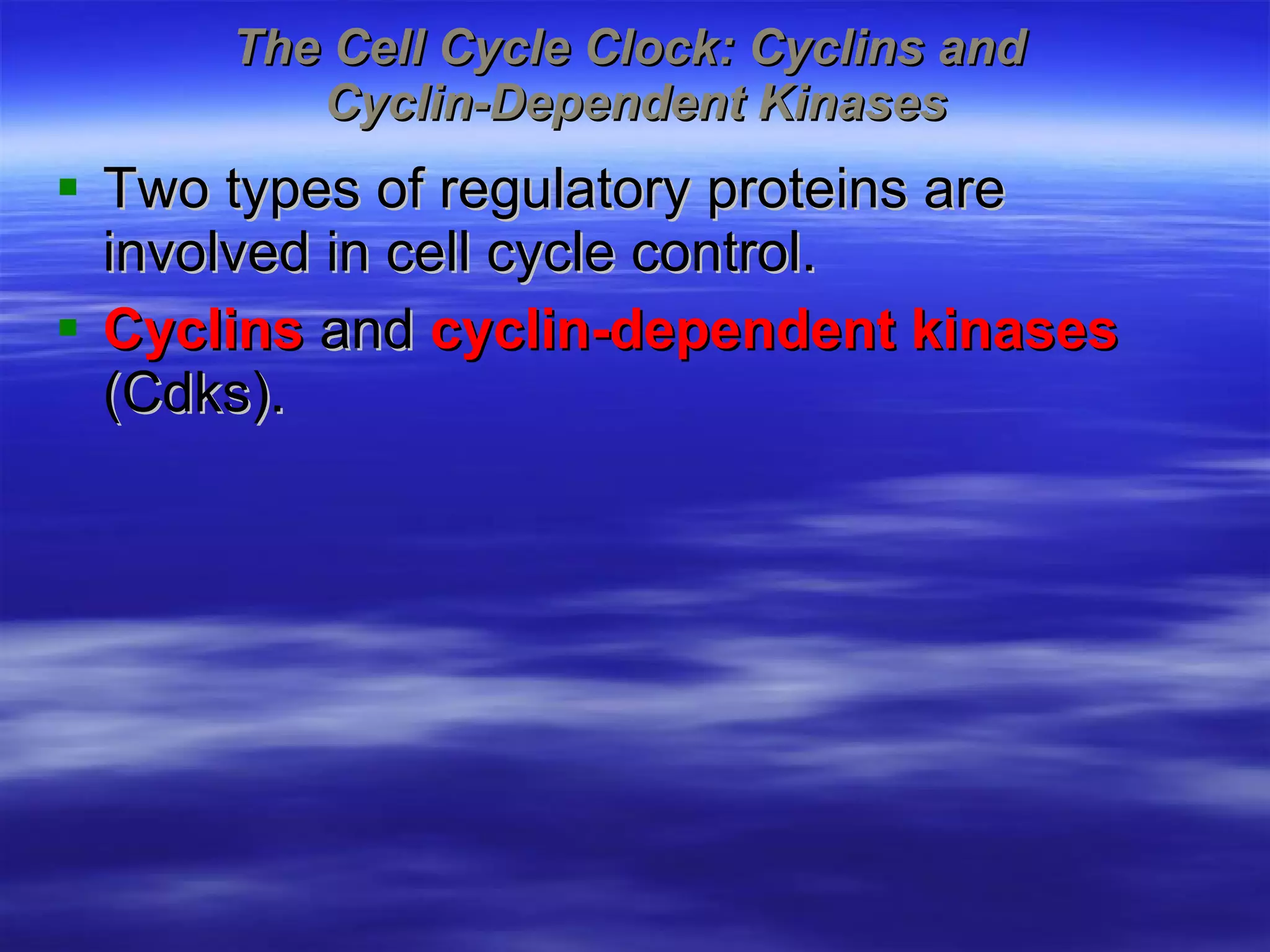 The Cell Cycle Clock: Cyclins and  Cyclin-Dependent Kinases Two types of regulatory proteins are involved in cell cycle control. Cyclins  and  cyclin-dependent kinases  (Cdks). 