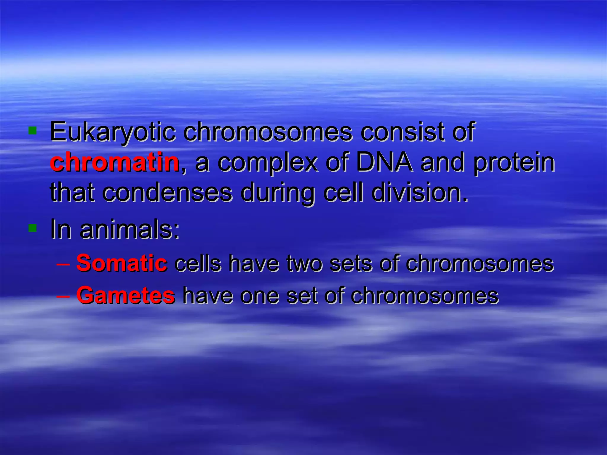 Eukaryotic chromosomes consist of  chromatin , a complex of DNA and protein that condenses during cell division. In animals: Somatic  cells have two sets of chromosomes Gametes  have one set of chromosomes 