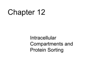 Chapter 12


     • Intracellular
       Compartments and
       Protein Sorting
 