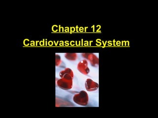 Chapter 12 Cardiovascular System 