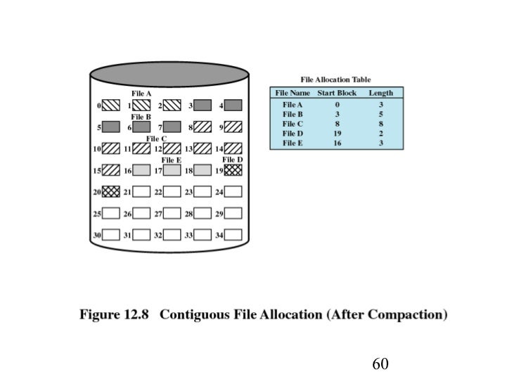 file management