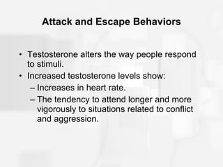 Attack and Escape Behaviors Testosterone alters the way people respond to stimuli. Increased testosterone levels show: Increases in heart rate. The tendency to attend longer and more vigorously to situations related to conflict and aggression. 