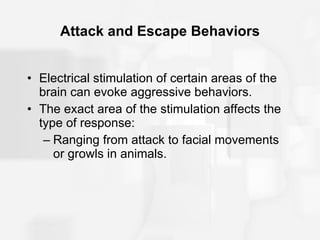 Attack and Escape Behaviors Electrical stimulation of certain areas of the brain can evoke aggressive behaviors. The exact area of the stimulation affects the type of response:  Ranging from attack to facial movements or growls in animals.  