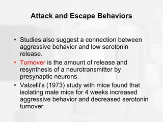 Attack and Escape Behaviors Studies also suggest a connection between aggressive behavior and low serotonin release. Turnover  is the amount of release and resynthesis of a neurotransmitter by presynaptic neurons. Valzelli’s (1973) study with mice found that isolating male mice for 4 weeks increased aggressive behavior and decreased serotonin turnover. 