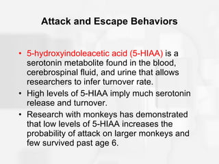 Attack and Escape Behaviors 5-hydroxyindoleacetic acid (5-HIAA)  is a serotonin metabolite found in the blood, cerebrospinal fluid, and urine that allows researchers to infer turnover rate. High levels of 5-HIAA imply much serotonin release and turnover. Research with monkeys has demonstrated that low levels of 5-HIAA increases the probability of attack on larger monkeys and few survived past age 6. 