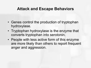 Attack and Escape Behaviors Genes control the production of tryptophan hydroxylase.  Tryptophan hydroxylase is the enzyme that converts tryptophan into serotonin. People with less active form of this enzyme are more likely than others to report frequent anger and aggression. 