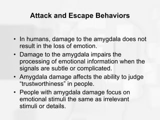 Attack and Escape Behaviors In humans, damage to the amygdala does not result in the loss of emotion. Damage to the amygdala impairs the processing of emotional information when the signals are subtle or complicated. Amygdala damage affects the ability to judge “trustworthiness” in people. People with amygdala damage focus on emotional stimuli the same as irrelevant stimuli or details. 