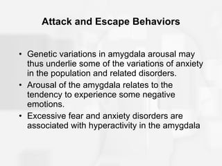 Attack and Escape Behaviors Genetic variations in amygdala arousal may thus underlie some of the variations of anxiety in the population and related disorders. Arousal of the amygdala relates to the tendency to experience some negative emotions. Excessive fear and anxiety disorders are associated with hyperactivity in the amygdala 