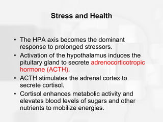 Stress and Health The HPA axis becomes the dominant response to prolonged stressors. Activation of the hypothalamus induces the pituitary gland to secrete  adrenocorticotropic hormone (ACTH) . ACTH stimulates the adrenal cortex to secrete cortisol. Cortisol enhances metabolic activity and elevates blood levels of sugars and other nutrients to mobilize energies. 