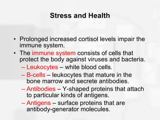 Stress and Health Prolonged increased cortisol levels impair the immune system. The  immune system  consists of cells that protect the body against viruses and bacteria.  Leukocytes  – white blood cells. B-cells  –   leukocytes that mature in the bone marrow and secrete antibodies. Antibodies  – Y-shaped proteins that attach to particular kinds of antigens. Antigens  – surface proteins that are antibody-generator molecules.  