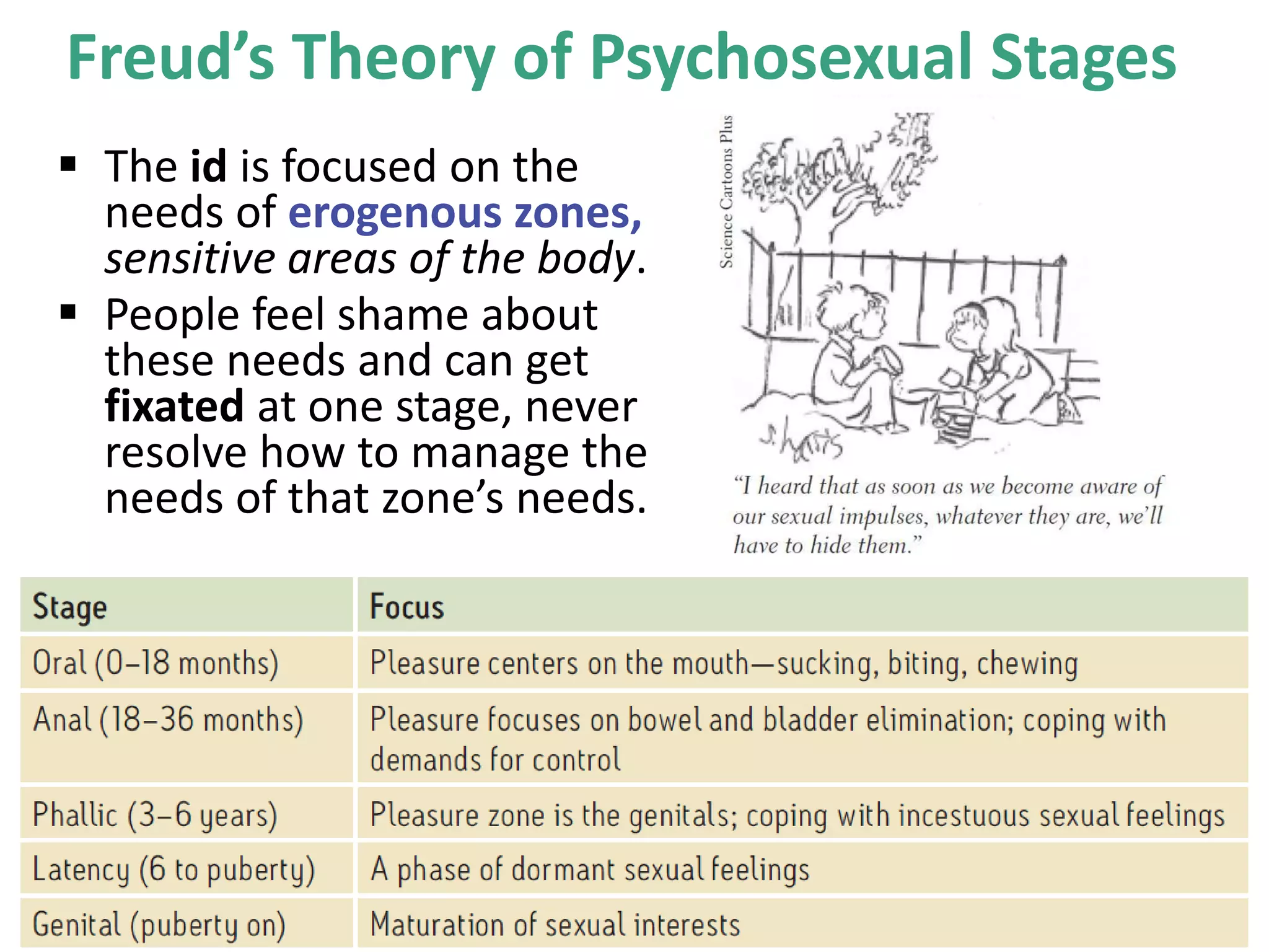 Freud’s Theory of Psychosexual Stages
 The id is focused on the
needs of erogenous zones,
sensitive areas of the body.
 People feel shame about
these needs and can get
fixated at one stage, never
resolve how to manage the
needs of that zone’s needs.

 