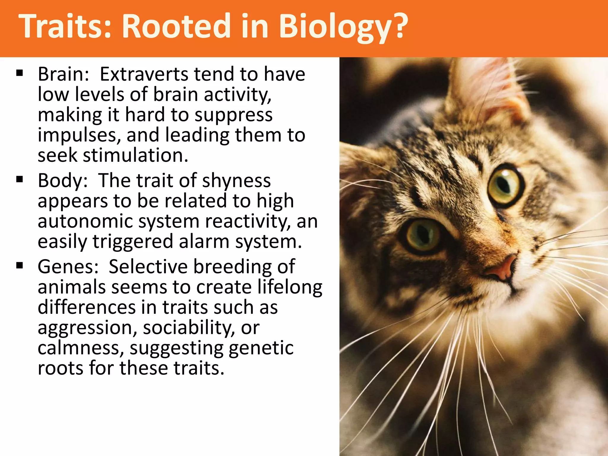 Traits: Rooted in Biology?
 Brain: Extraverts tend to have
low levels of brain activity,
making it hard to suppress
impulses, and leading them to
seek stimulation.
 Body: The trait of shyness
appears to be related to high
autonomic system reactivity, an
easily triggered alarm system.
 Genes: Selective breeding of
animals seems to create lifelong
differences in traits such as
aggression, sociability, or
calmness, suggesting genetic
roots for these traits.

 