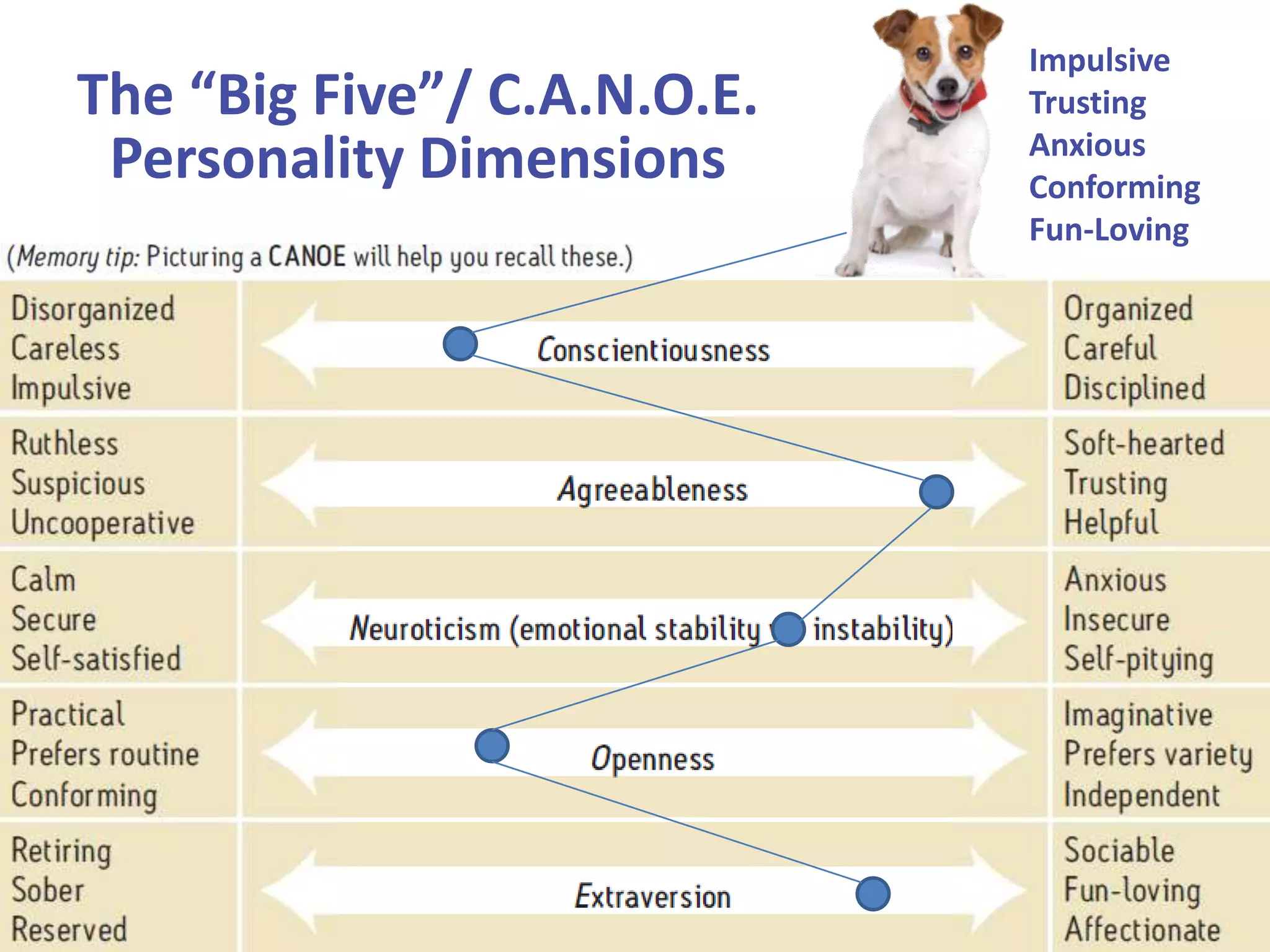 The “Big Five”/ C.A.N.O.E.
Personality Dimensions

Impulsive
Trusting
Anxious
Conforming
Fun-Loving

 