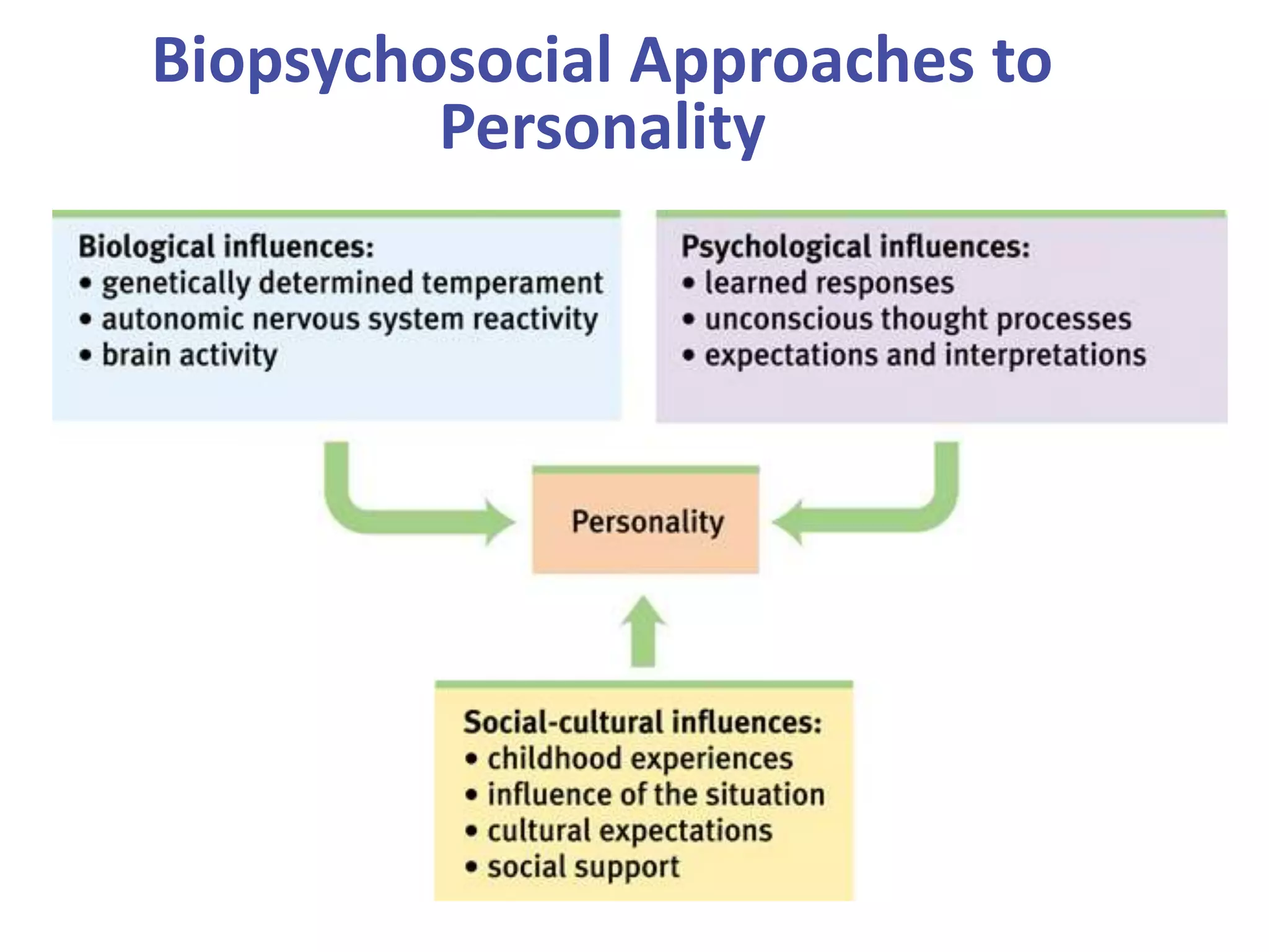 Biopsychosocial Approaches to
Personality

 
