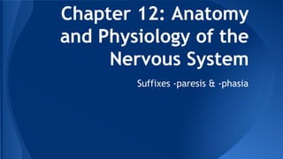 Chapter 12: Anatomy
and Physiology of the
Nervous System
Suffixes -paresis & -phasia
 