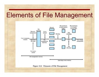 Elements ooff FFiillee MMaannaaggeemmeenntt 
 