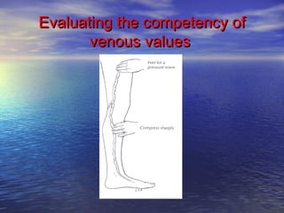 Evaluating tthhee ccoommppeetteennccyy ooff 
vveennoouuss vvaalluueess 
 
