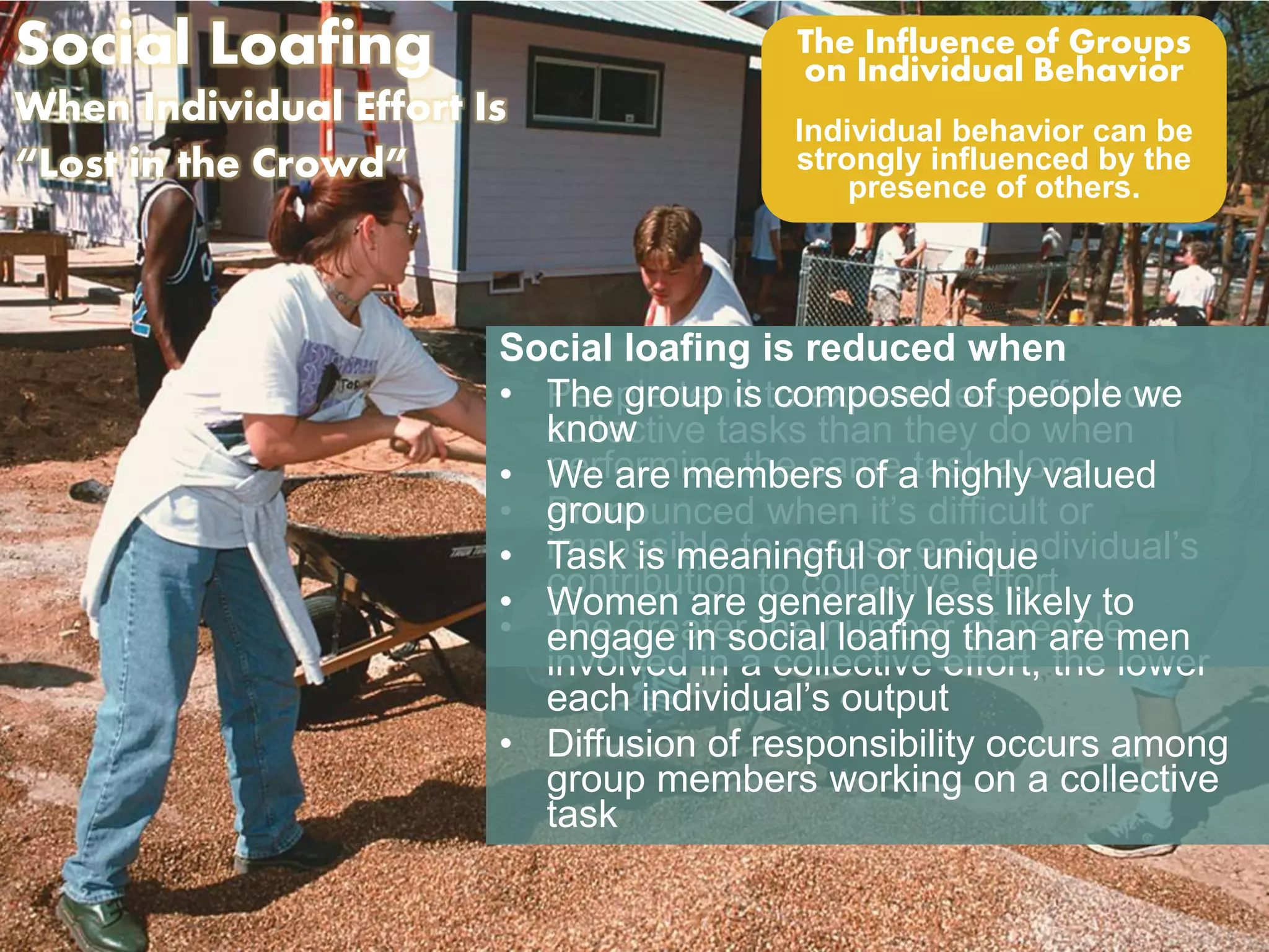Social Loafing 
When Individual Effort Is 
“Lost in the Crowd” 
The Influence of Groups 
on Individual Behavior 
Individual behavior can be 
strongly influenced by the 
presence of others. 
Social loafing 
is reduced when 
• The group is composed of people we 
People tend to expend less effort on 
know 
collective tasks than they do when 
performing the same task alone 
• We are members of a highly valued 
group 
• Pronounced when it’s difficult or 
impossible to assess each individual’s 
contribution to collective effort 
• Task is meaningful or unique 
• Women are generally less likely to 
• The greater the number of people 
engage in social loafing than are men 
involved in a collective effort, the lower 
each individual’s output 
• Diffusion of responsibility occurs among 
group members working on a collective 
task 
 