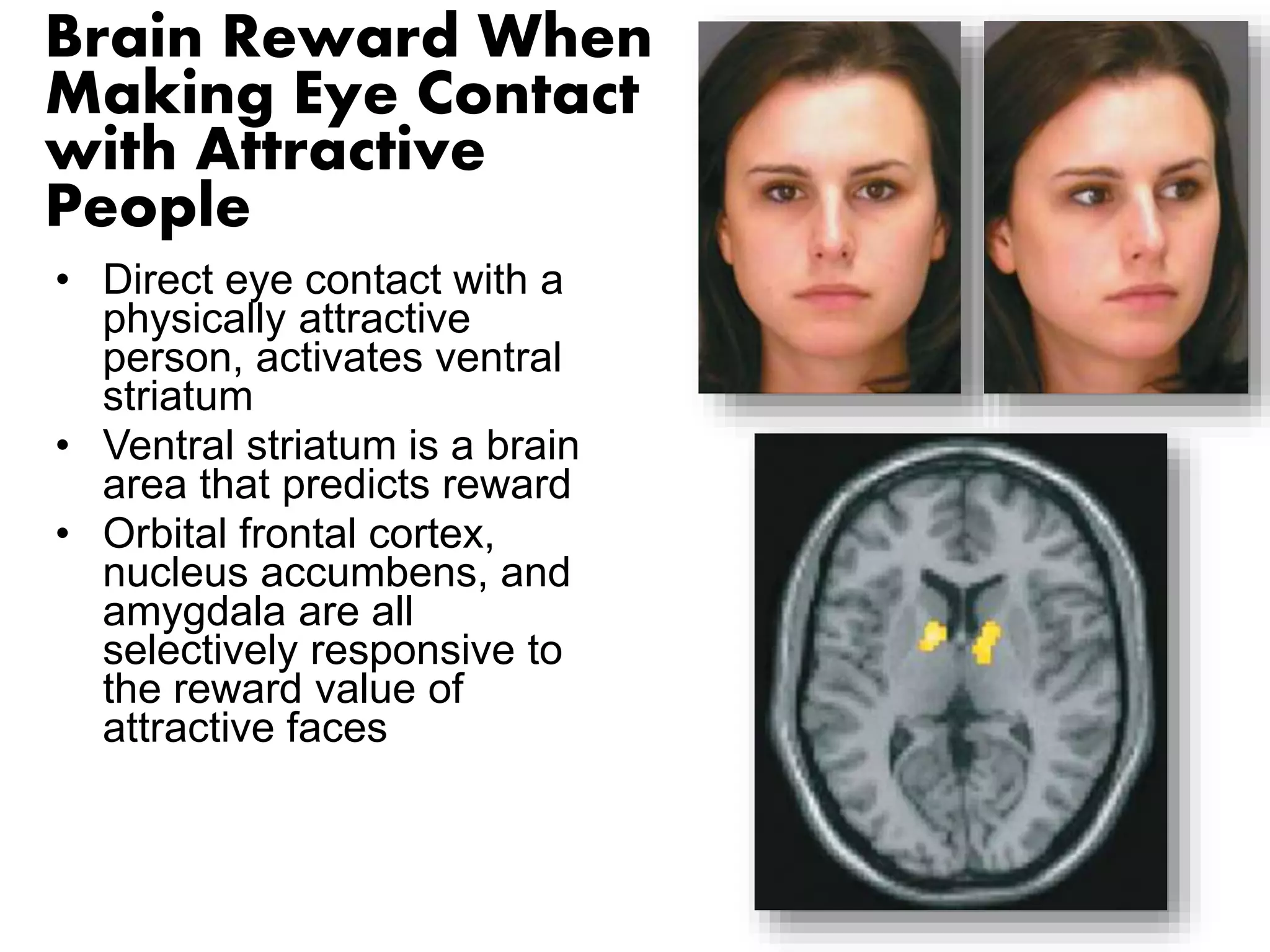 Brain Reward When 
Making Eye Contact 
with Attractive 
People 
• Direct eye contact with a 
physically attractive 
person, activates ventral 
striatum 
• Ventral striatum is a brain 
area that predicts reward 
• Orbital frontal cortex, 
nucleus accumbens, and 
amygdala are all 
selectively responsive to 
the reward value of 
attractive faces 
 