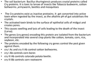 Chapter 12. biotechnology and its application2014 by mohanbio | PPTX