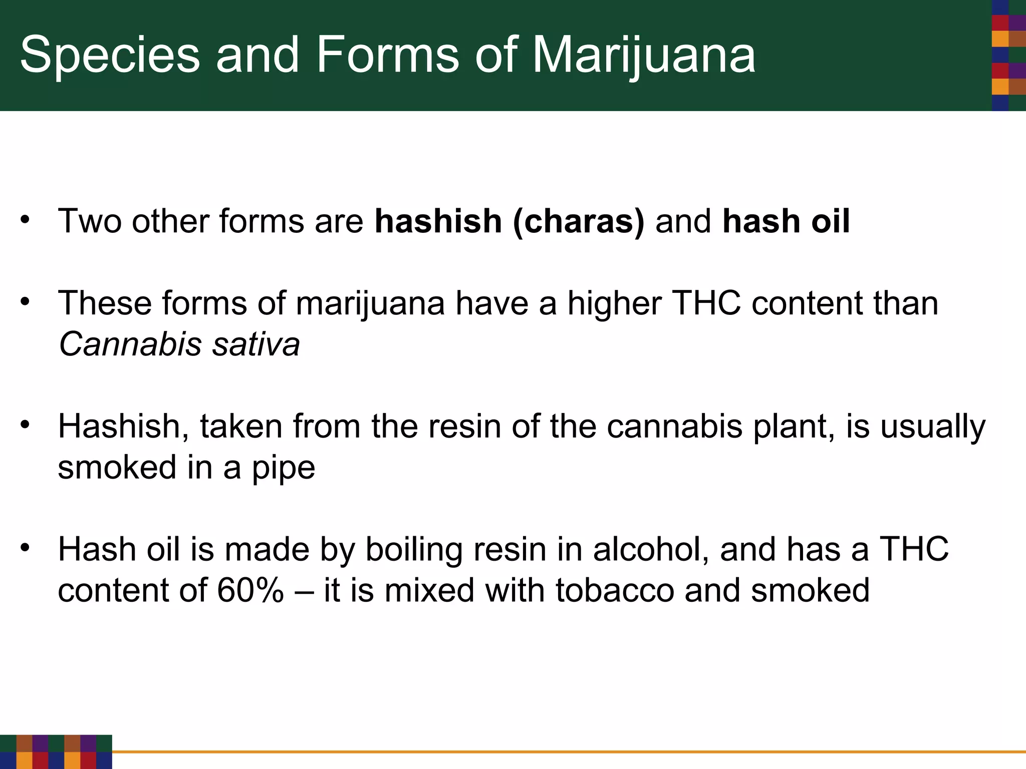 Species and Forms of Marijuana
• Two other forms are hashish (charas) and hash oil
• These forms of marijuana have a higher THC content than
Cannabis sativa
• Hashish, taken from the resin of the cannabis plant, is usually
smoked in a pipe
• Hash oil is made by boiling resin in alcohol, and has a THC
content of 60% – it is mixed with tobacco and smoked
 