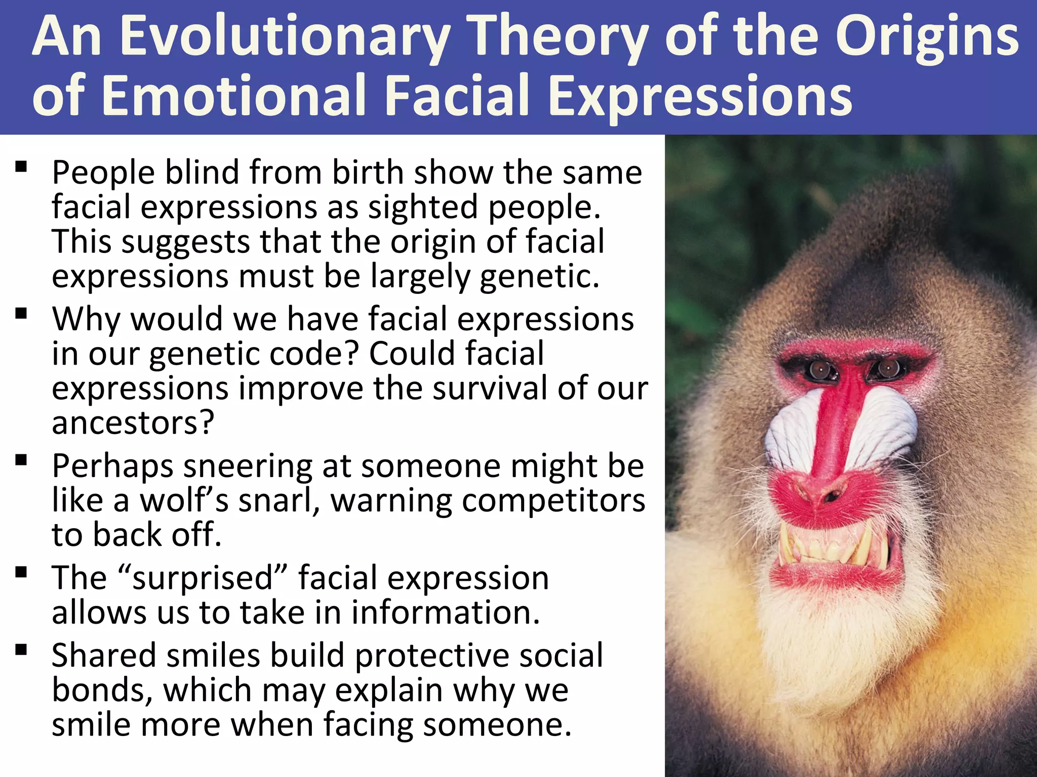 An Evolutionary Theory of the Origins
of Emotional Facial Expressions
 People blind from birth show the same
facial expressions as sighted people.
This suggests that the origin of facial
expressions must be largely genetic.
 Why would we have facial expressions
in our genetic code? Could facial
expressions improve the survival of our
ancestors?
 Perhaps sneering at someone might be
like a wolf’s snarl, warning competitors
to back off.
 The “surprised” facial expression
allows us to take in information.
 Shared smiles build protective social
bonds, which may explain why we
smile more when facing someone.
 
