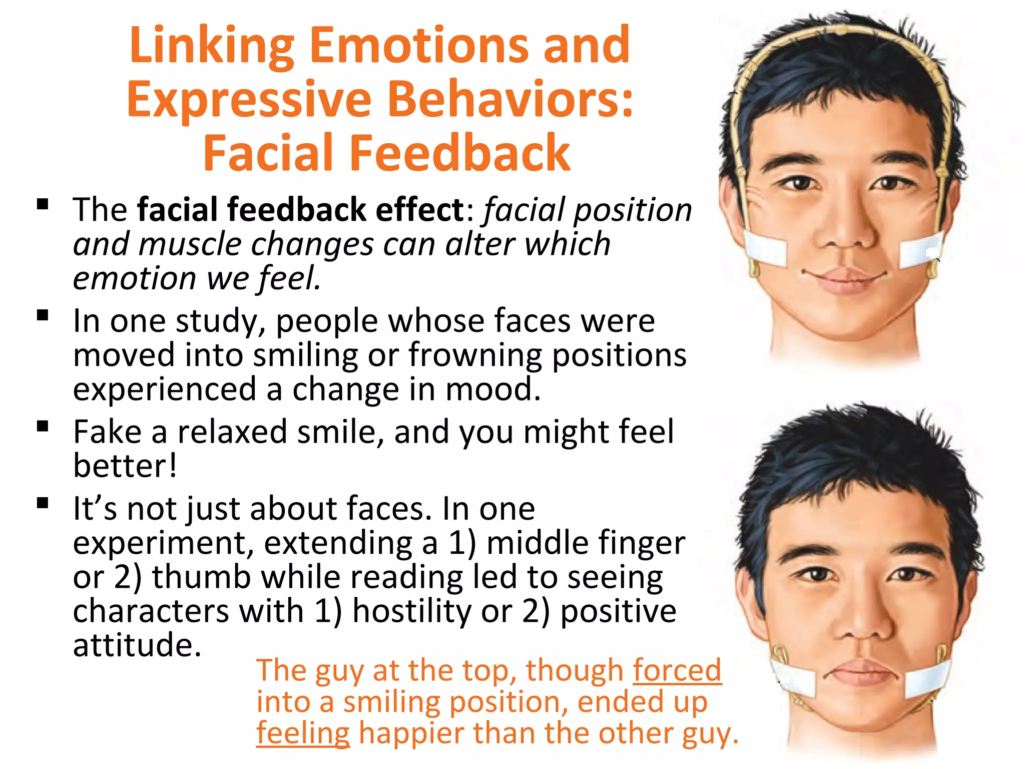 Linking Emotions and
Expressive Behaviors:
Facial Feedback
 The facial feedback effect: facial position
and muscle changes can alter which
emotion we feel.
 In one study, people whose faces were
moved into smiling or frowning positions
experienced a change in mood.
 Fake a relaxed smile, and you might feel
better!
 It’s not just about faces. In one
experiment, extending a 1) middle finger
or 2) thumb while reading led to seeing
characters with 1) hostility or 2) positive
attitude.
The guy at the top, though forced
into a smiling position, ended up
feeling happier than the other guy.
 