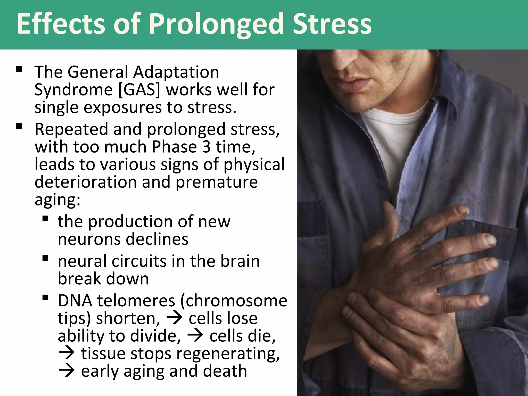Effects of Prolonged Stress
 The General Adaptation
Syndrome [GAS] works well for
single exposures to stress.
 Repeated and prolonged stress,
with too much Phase 3 time,
leads to various signs of physical
deterioration and premature
aging:
 the production of new
neurons declines
 neural circuits in the brain
break down
 DNA telomeres (chromosome
tips) shorten,  cells lose
ability to divide,  cells die,
 tissue stops regenerating,
 early aging and death
 